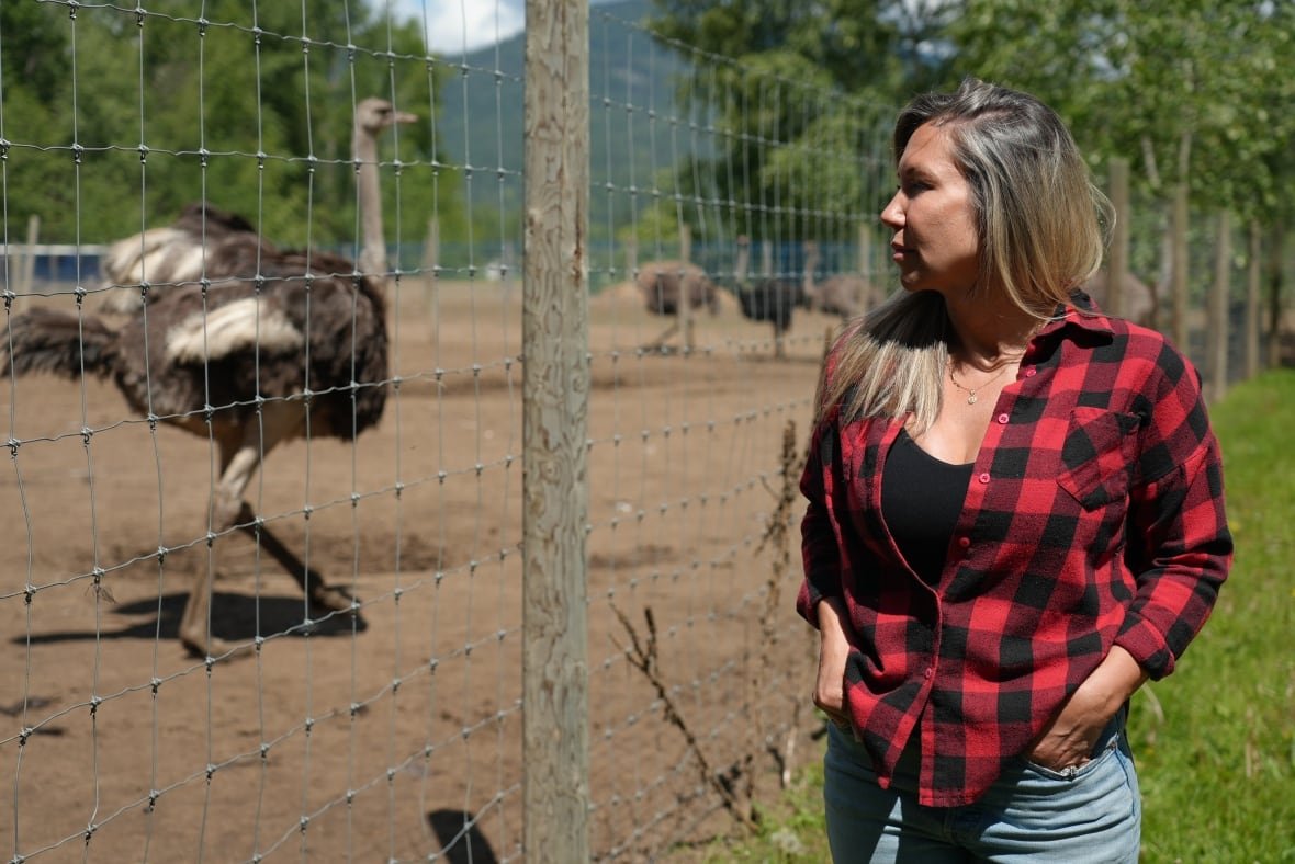 katie-pasitney A woman in plaid watches ostriches.