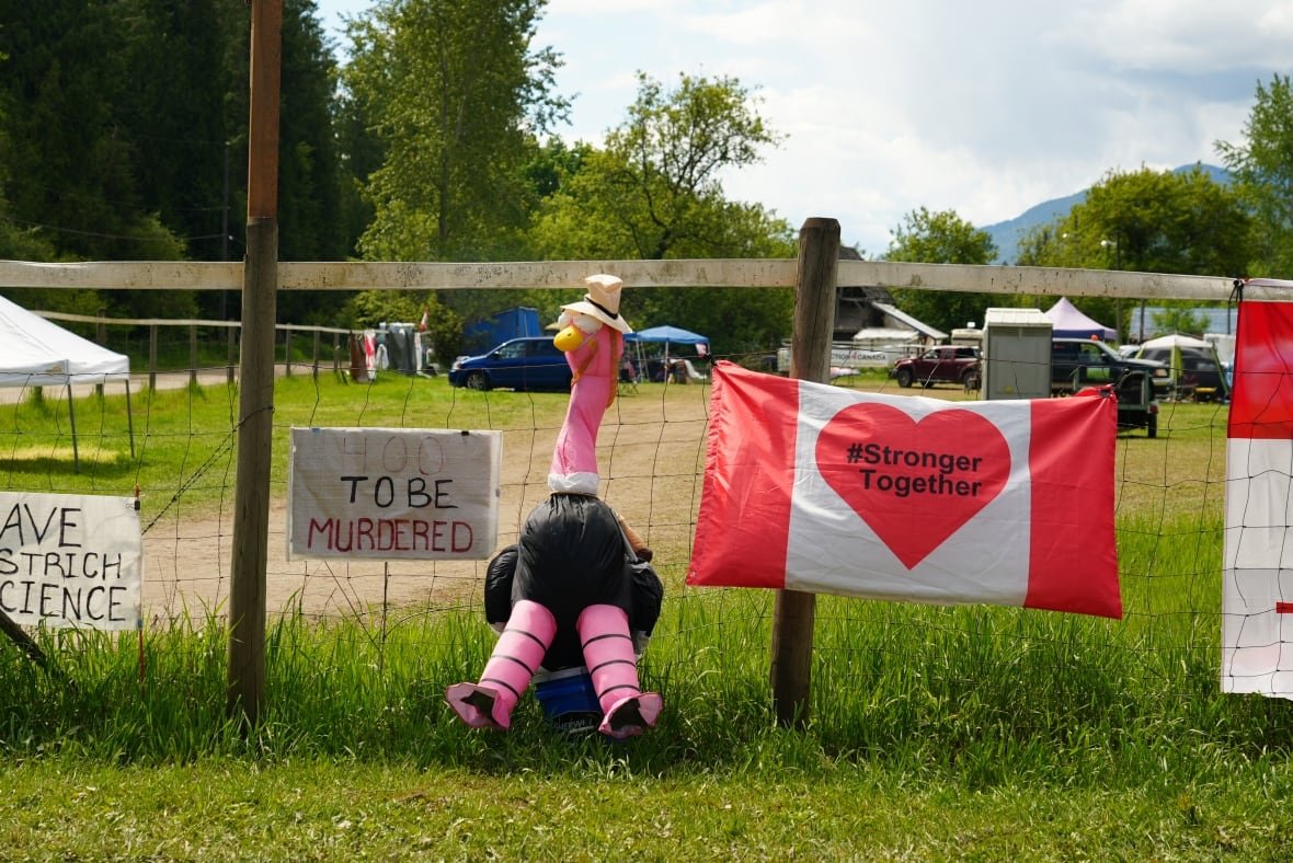 ostrich-farm Signs saying, Stronger Together, and an inflatable ostrich lean against a wire fence.
