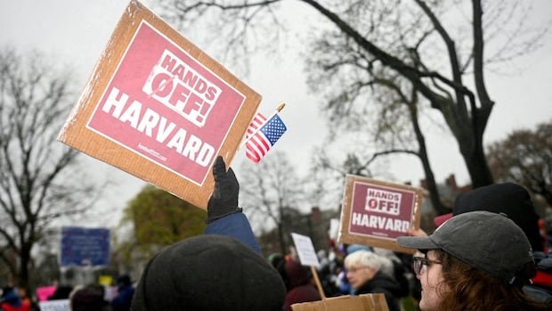 Judge issues temporary block on White House plan to bar foreign student enrolment at Harvard