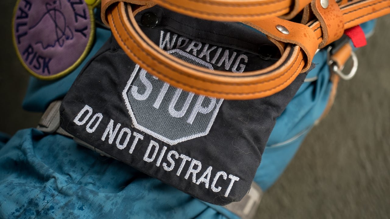 default-129 A service dog harness that says "working. stop. Do not distract."