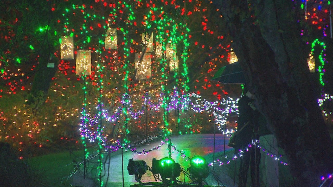 A walkway lit by colourful fairy lights in a garden.