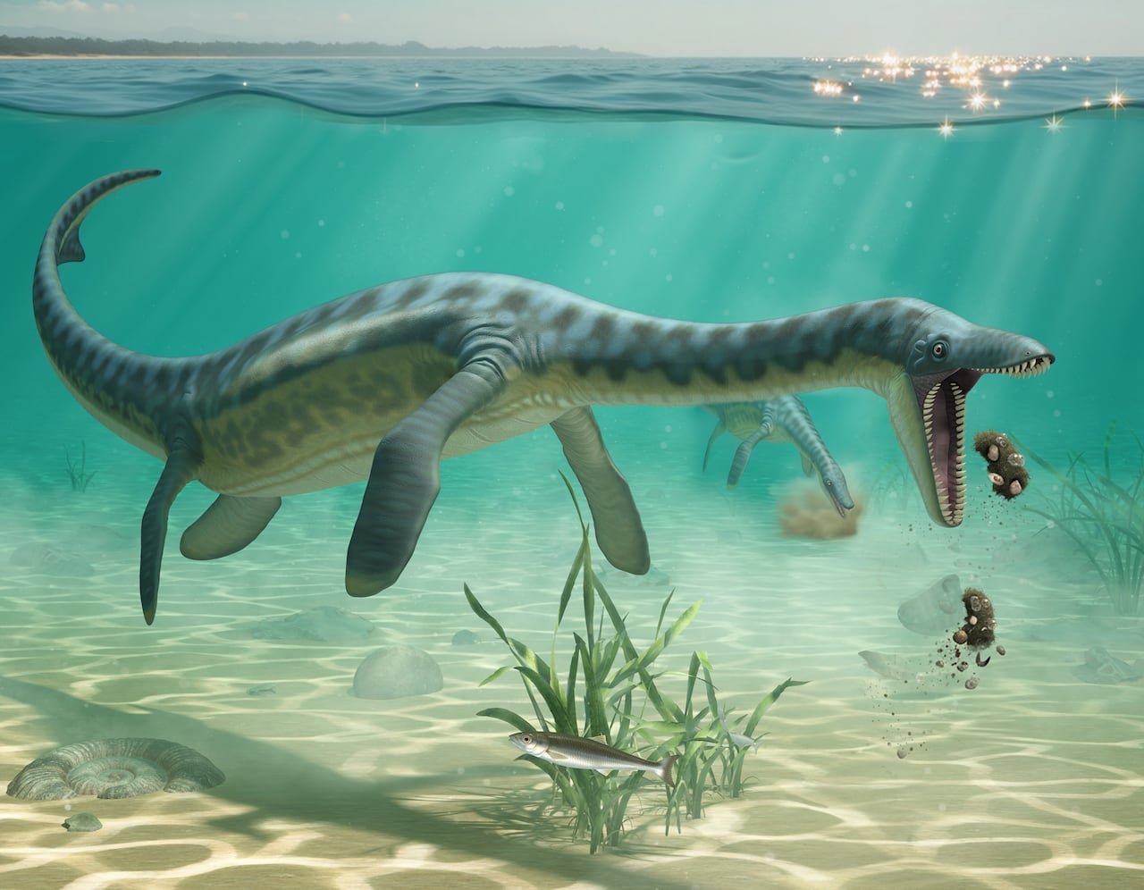 default-1147 Illustration of Jurassic plesiosaurs feeding on the sea floor